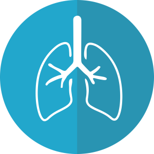 lungs, lung icon, respiration-2803208.jpg
